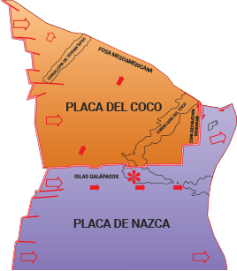 Ilustración sobre la placa o el bloque 