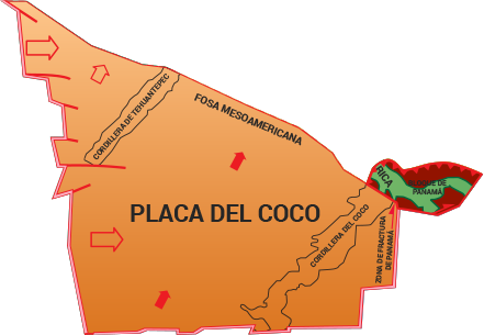 Ilustración sobre la placa o el bloque 